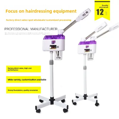 Plug-in Facial Steamer Mist Sprayer with Hot/Cold Spray for Salon Use China