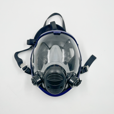 Smoking Anti Gas Mask Gas Protection Filter Type Gas Mask for