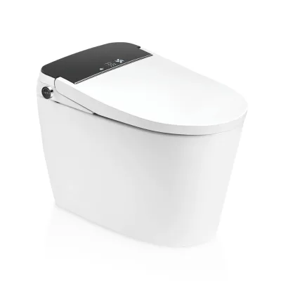 One Piece Intelligence Electric Automatic Toilet with Concealed Water tank