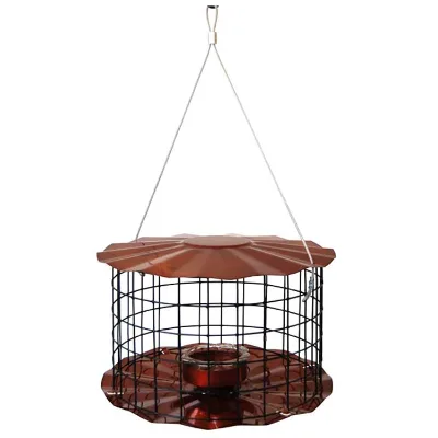 JH-Mech Protective Metal Wire Frame Large-Capacity Internal Feeding Bowl Cage Spacing for Small Birds Stable Secure Bird Feeder