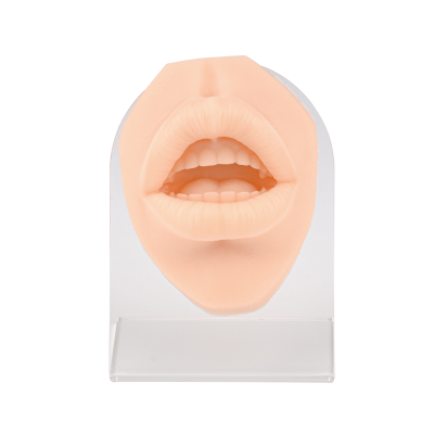 Silicone Human Mouth Lip Piercing Model Manikin with Stand for Simulation and Training