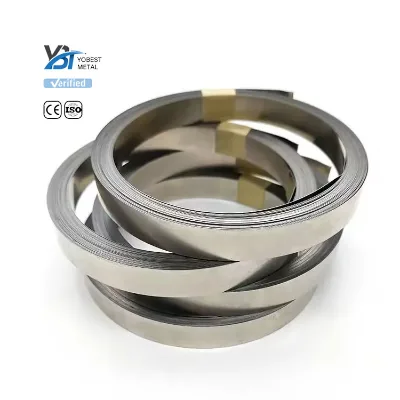 Chinese Supplier Chrome Monel K500 N05500 2.4375 10mm Ni99.9% Nickel Strip