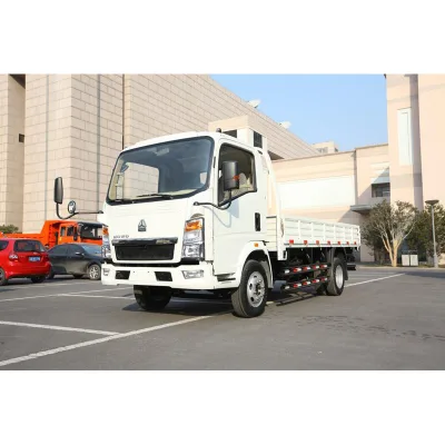 New Diesel Automatic Mud Flap Mud Guard with Raised Logo and Printing for Cargo Truck 4x2 ZZ1107G4215C1