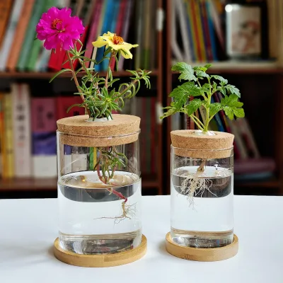 Planter Hydroponic Glass Terrariums Vases