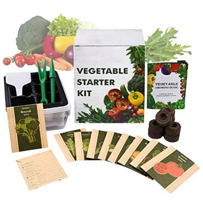 Manufacturer-Wholesale Vegetable Starter Kit Flower Pot Plant Fiber Biodegradable Translucent Kitchen Gardening Set Garden Seed