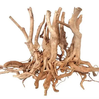 Wholesale Nature Decorative Tropical Rain Forest Tree Large Bonsai Driftwood Tree