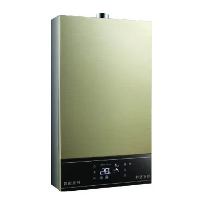 Manufacturer Wholesale New Smart Thermostat Bathroom Shower Water Heater Ad-r50 Strong Row Gas Water Heater