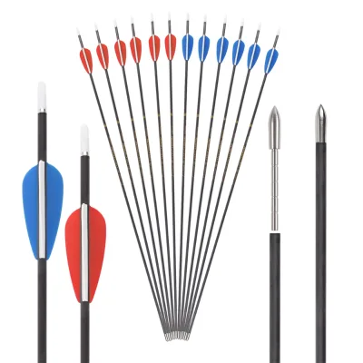 Customized Archery Carbon Arrow ID 3.2 mm Spine 500-1000 Steel Point Plastic Vanes Recurve Bow Target Arrows