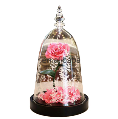Best Valentines Day Gift Preserved Flower Beauty and the Beast Enchanted Rose