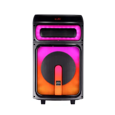 2026 New 10 Inches Private Trolley Speaker Outdoor Bluotooth Speaker High Power with RGB Lights/radio/mic