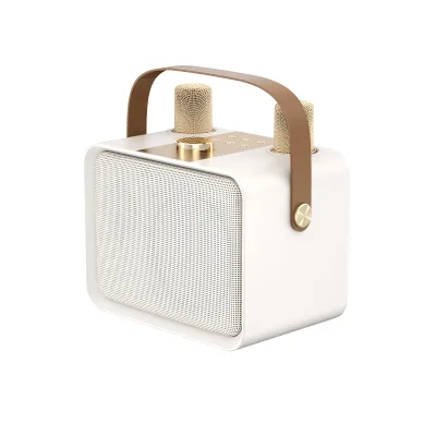 QM1 Nice Design Karaoke Family Speaker Factory Price Good EQ Portable Wireless Bluetooth Speaker With Two Microphones
