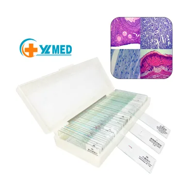 Preparation of Microscope Slides of Maize Botanical Plants for Teaching and Research