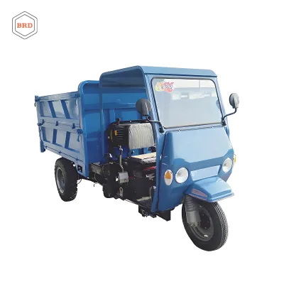 Bryda High Capacity Diesel Electric Cargo Tricycle Mining Tipper Three-Wheel Truck Strong Motor Road Bridge Construction