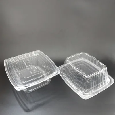 Hot Style Compostable Disposable Snack Box New Promotion Sustainable Snacking Tray in Plastic