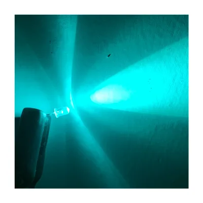 [Traffic Light Series] Anti-rust 500-505nm Gold Wire Bluish Green Color Water Clear Dip 5mm LED for Crosswalk Signal