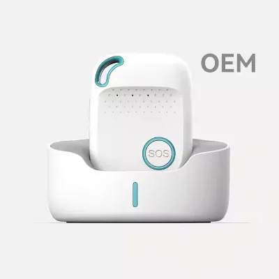 Waterproof IP66 Fall Alarm SOS Emergency Wearable Smart GPS Watch 4G Personal Tracker with 950mAh Battery