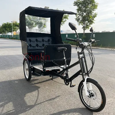 Electric Pedicab Pedal Street Seeing Vehicle Human Power Tricycle Electric Tourist Cars for Sale