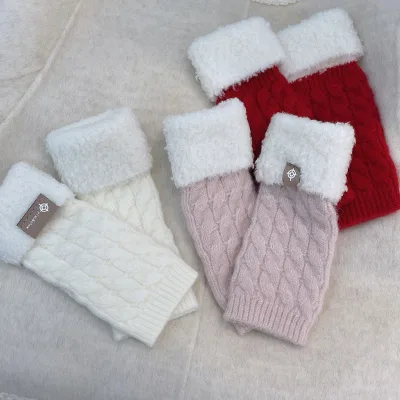 Women's Korean Atmosphere Wool Gloves Half-Finger Knitted Velvet Teddy Solid Color Writing Warm Men's Wholesale