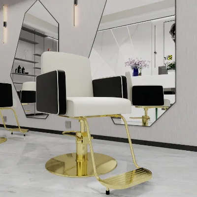 Customizable High-quality Beauty Salon Furniture Adjustable Hydraulic Sofa Styling Chair