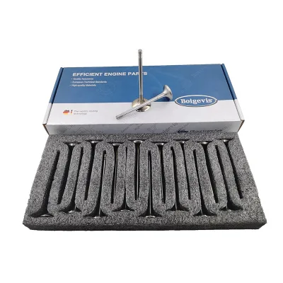 High Quality Automotive Parts Car Engine Valve Kit 06J109601A/B/D/H for EA888 1.8T/2.0T VW Audi Skoda