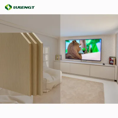 Modern 4X8 Melamine E0 3mm Kitchen Living Room 18mm 25mm Laminated Birch Plywood for Workshop Villa Construction for Bedroom