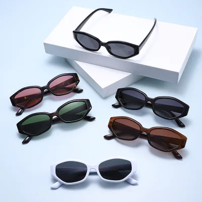 2026 Wholesale Custom Plastic Sunglasses Men Women UV400 Protection Retro Vintage Fashion Sun Glasses OEM