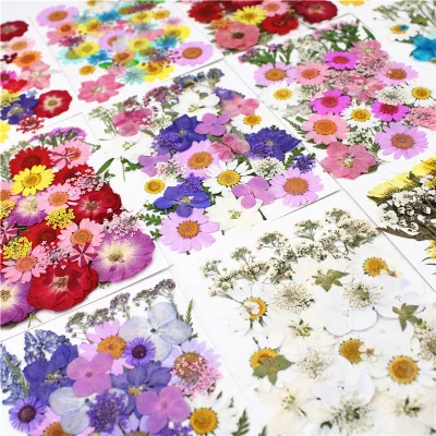 Mixed Dried Flowers and Leaves Bundle for Scrapbooking Journaling Resin Art Phone Case Decor