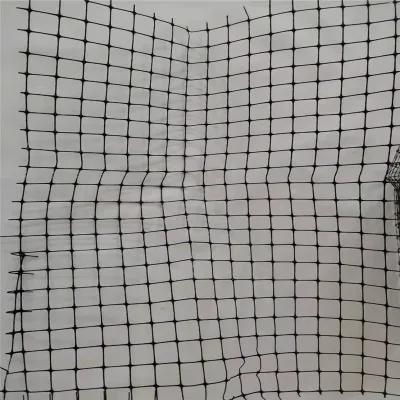 Factory Price Plastic Farm Net Chicken for Cherry