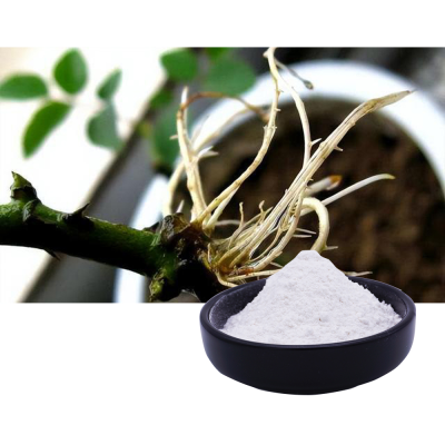 Root Hormone Naa 1-naphthylacetic Acid 98%tc Phyomone White Powder