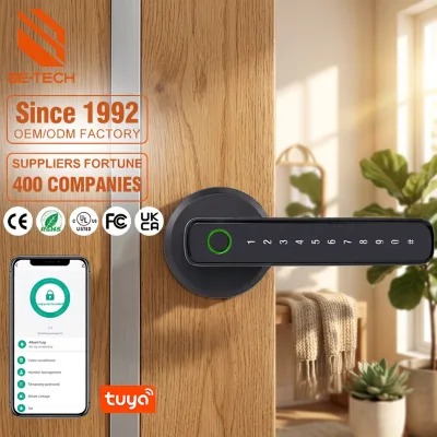 Smart Locks Fingerprint Electronic Door for Front Door Smart Lock Automatic Gate Lock