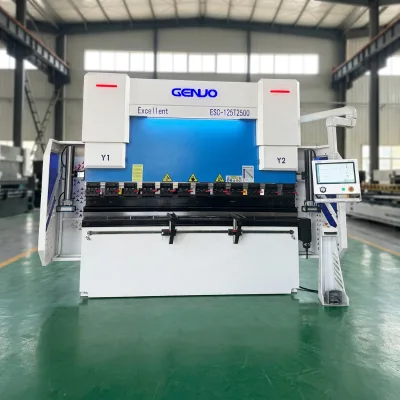 Cost Effective CNC Hydraulic Press Brake Self-developed Domestic Control System Multi-language Operating Interface