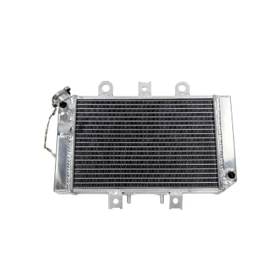 Hot Sale Cheap Motorcycle Scooter Racing Aluminum Radiators