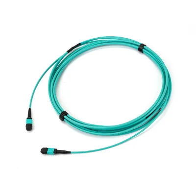 SDGI Multi-fiber Push on Connector-MPO Fiber Optic Patch Cord