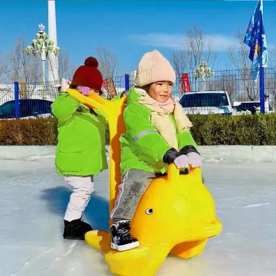 Custom Colorful PE Material Skating Assistant Training Ice Rink Equipment Ice Skate Aid
