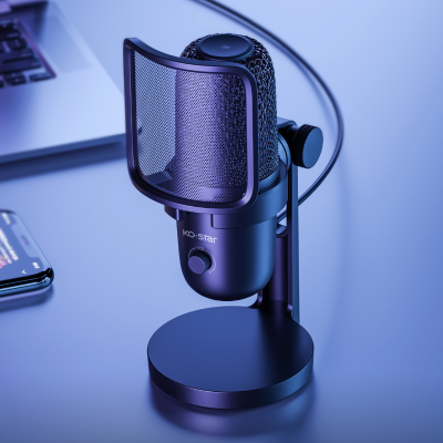 Video Recording Karaoke Microphone Handheld Waterproof Noise Cancelling Headphones Microphone for Conference