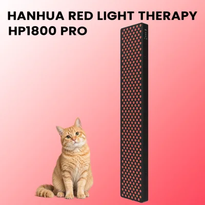 OEM ODM Wavelenth DAISY CHAIN DESIGN 1800w Power Whole Body Light Therapy Large Red Light Therapy Bed Device