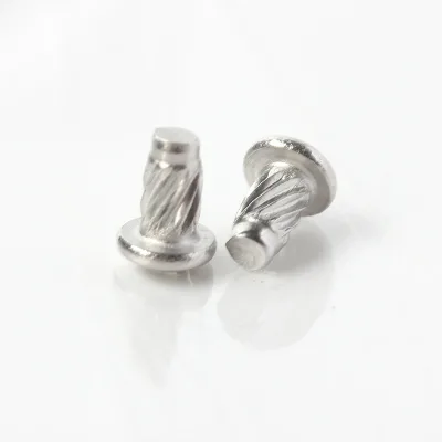 Stainless Steel304 Indication Plate Rivet Rivets for Name Plate