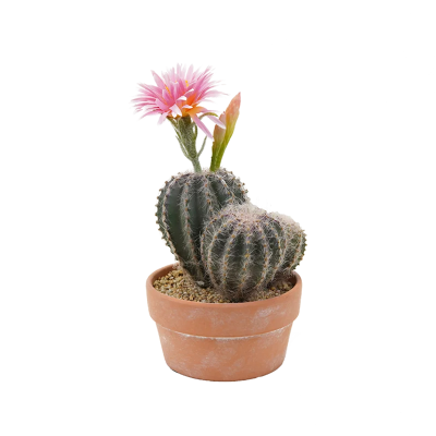 Multiple Styles Artificial Succulent Plants Plastic Cactus Artificial Cactus With Pot