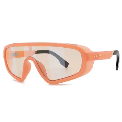 2022 Fashion Sunglasses Steampunk Winter Windproof Polarized Glasses Famous Designer Brand Eyewear