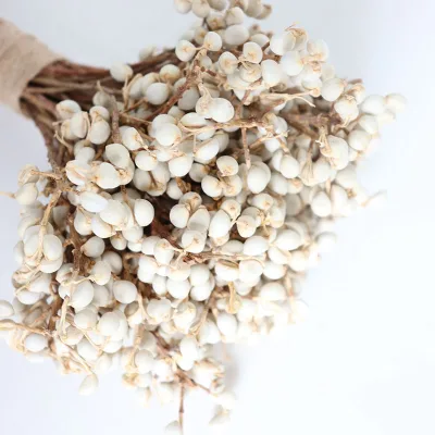 Wholesale Good Quality Ginkgo Excoecaria Berries Tallow Berries Natural Preserved Dried Flowers Gold White Fruit
