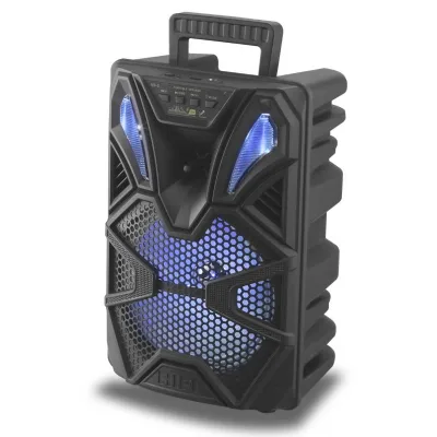 NB9 Outdoor Portable Karaoke Plastic Speaker Box 8inch Rechargeable Battery Trolley Speaker with BT USB