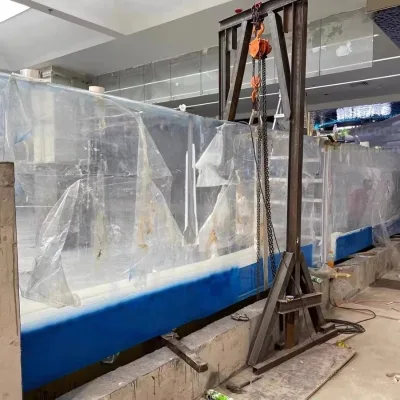 Swimming Pool Glass Wall Glass Walled Swimming Pool