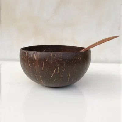 Small Eco Friendly Coconut Bowl Vietnam Handicraft Handcarved Vietnamese Lacquer Natural Bowls Crafted From Shell