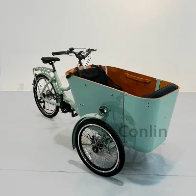 3 Wheel Electric Cargo Bike 6 Speeds 24Inch Family Cargo Bike Cargo Electric Bike Kid for Sale