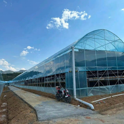 Used Agriculture Greenhouses Polycarbonate Greenhouse Large Small Greenhouses