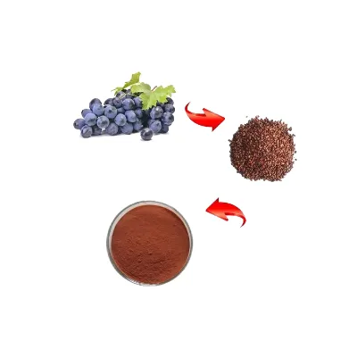 Natural Plant Grape Seed Extract Capsules Food Grade Grape Seed Extract Powder