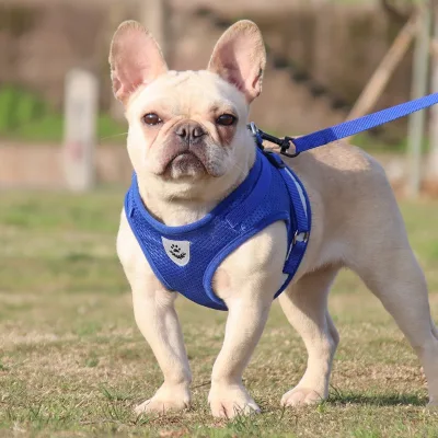 Dog Supplies Wholesale Vest Reflective Dog Chest Strap Breathable Dog Rope Pet Leash Pet Braces