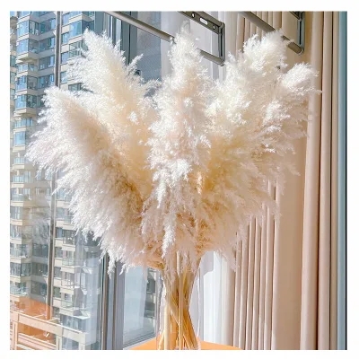 Fluffy Artificial Pampas Grass Decoration for Christmas Wedding Home Use-Tall Stems