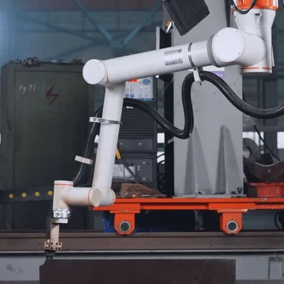 Six-axis gripping and packing collaborative robot