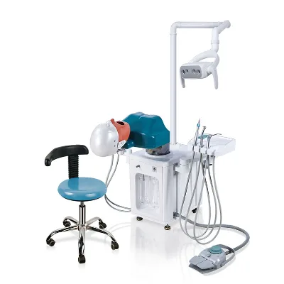 Dental Phantom Head Dental Manikan for Dentist Training Practice